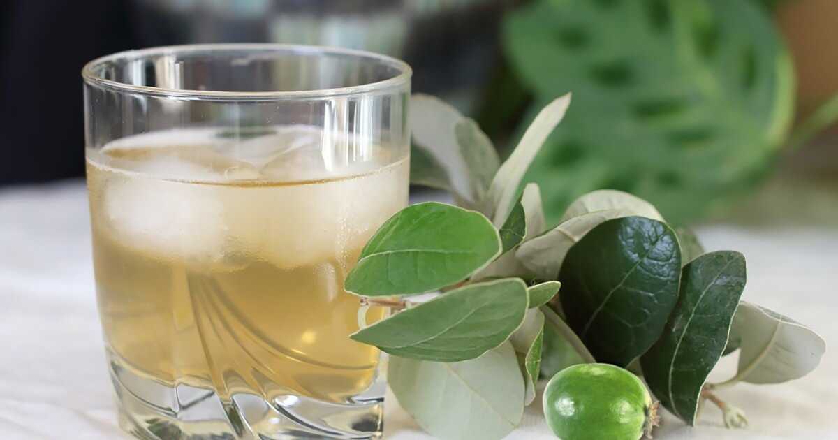 Настойка из фейхоа: рецепты на водке, самогоне и спирте