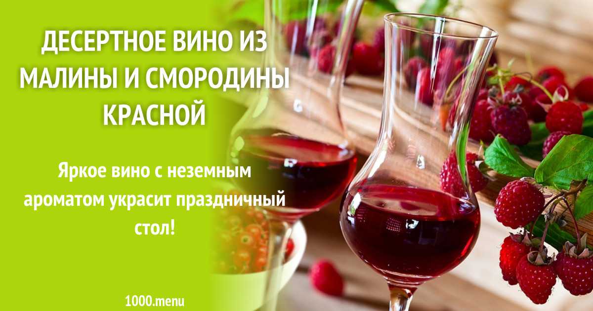10 простых пошаговых рецептов вина из черной смородины в домашних условиях