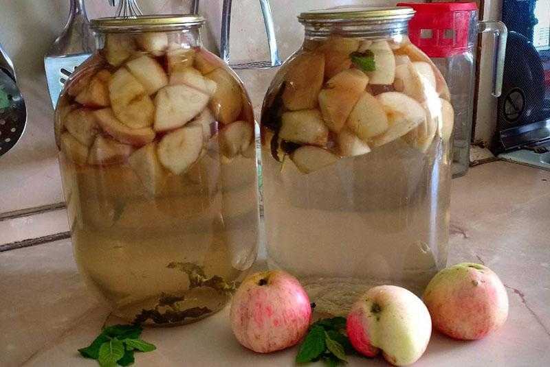 Компот из сливы и яблок с добавлением винограда, груш и без сахара