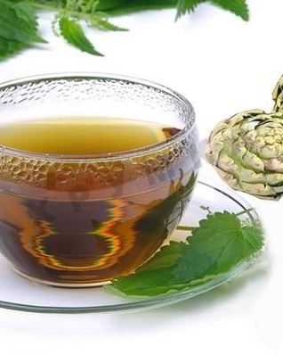 Чай с мелиссой: рецепты приготовления чая