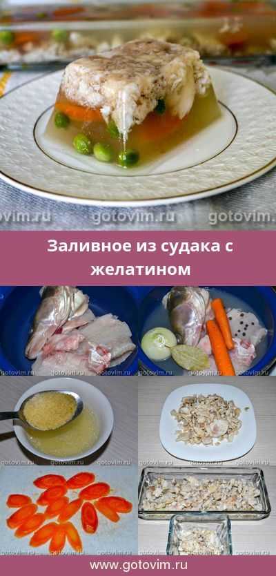 Как приготовить заливное из судака с желатином по пошаговому рецепту с фото