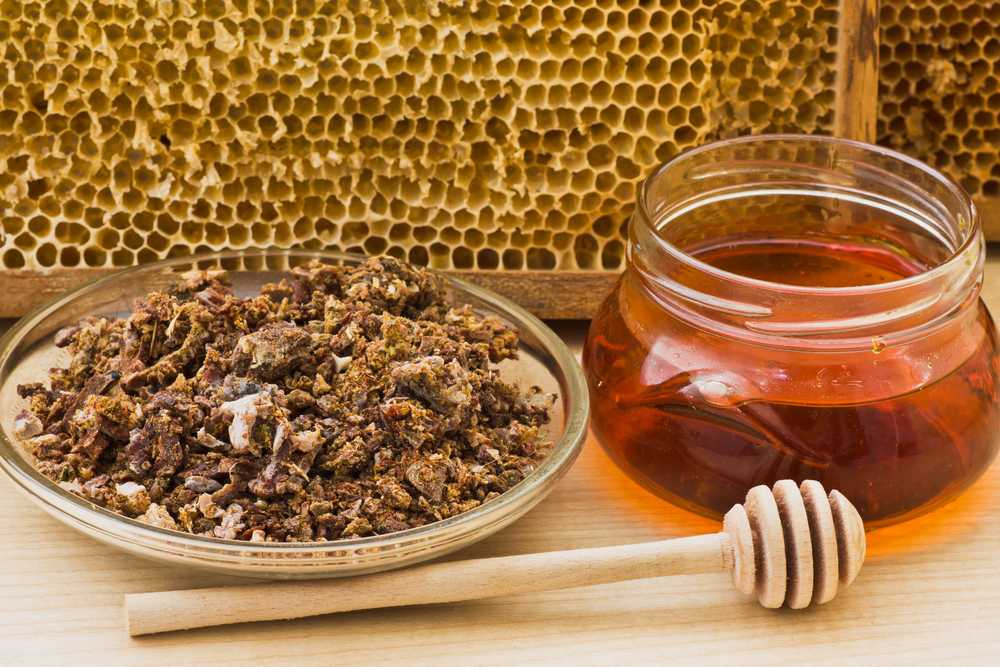 Настойка из пчелиного подмора на водке: рецепт, приготовление