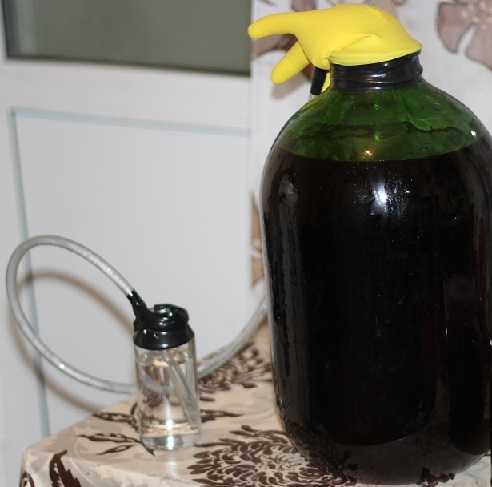 Рецепт приготовления домашнего вина из черемухи