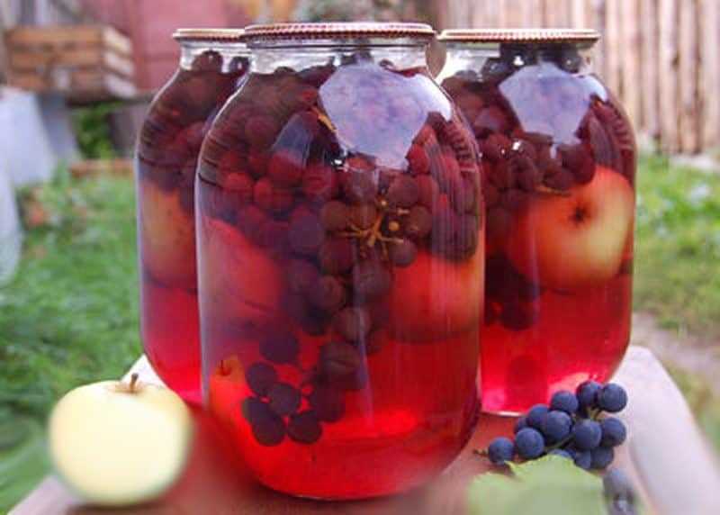 Компоты из винограда и яблок – красивое и ароматное чудо. обязательно запаситесь компотом из винограда и яблок на зиму
