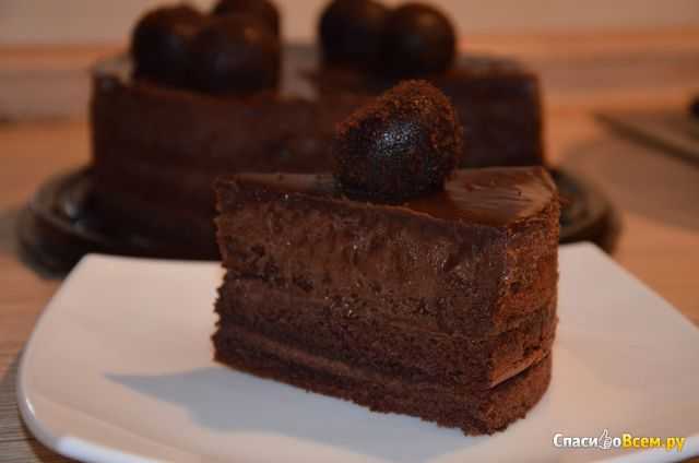 Торт «бельгийский шоколад» – рецепт