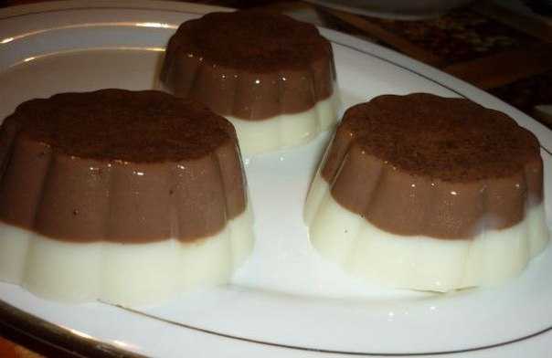 Шоколадное желе рецепт с фото пошагово - 1000.menu