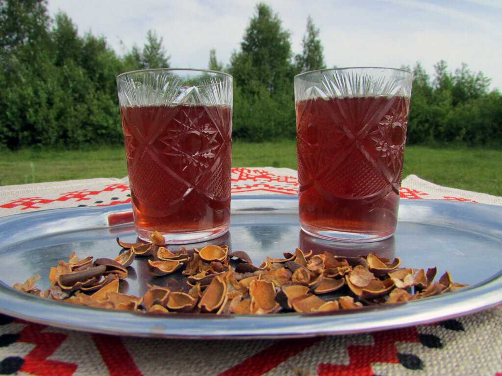 Напиток сибирских богов – самогон на кедровых орехах