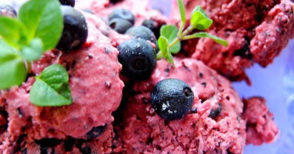 Рецепт черничного мороженого из сметаны с фото пошагово или как вкусно приготовить мороженое