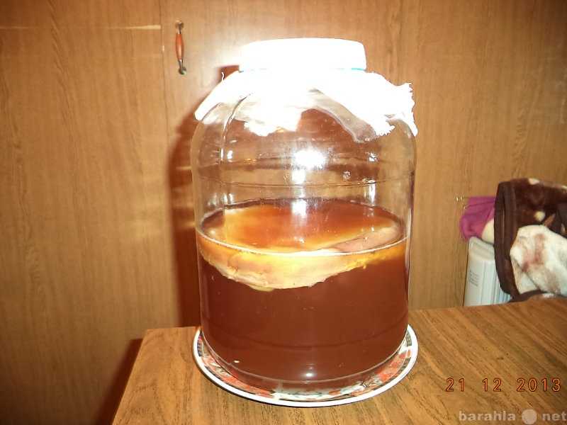 Как приготовить чайный гриб в домашних условиях