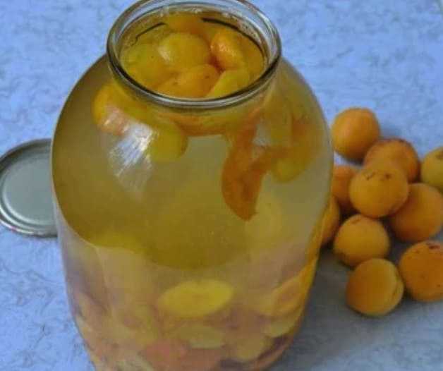 Компот из абрикосов на зиму: 13 простых рецептов с косточками и без с фото