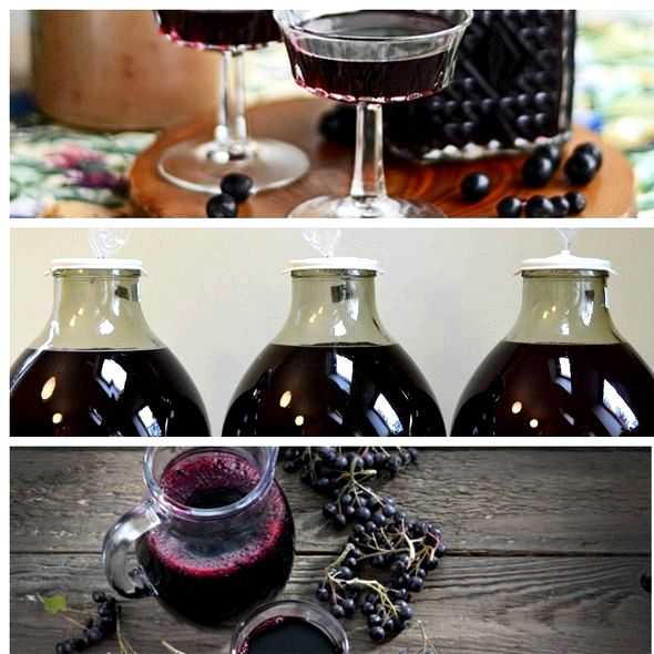 Как приготовить вино из черноплодной рябины в домашних условиях по простому рецепту