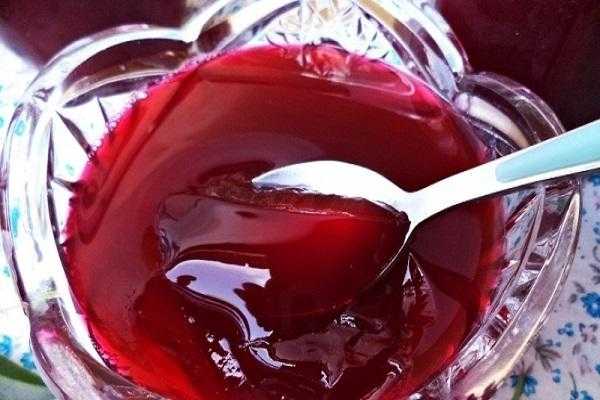 Желе из вишни с желатином: как правильно приготовить, пошаговый рецепт приготовления