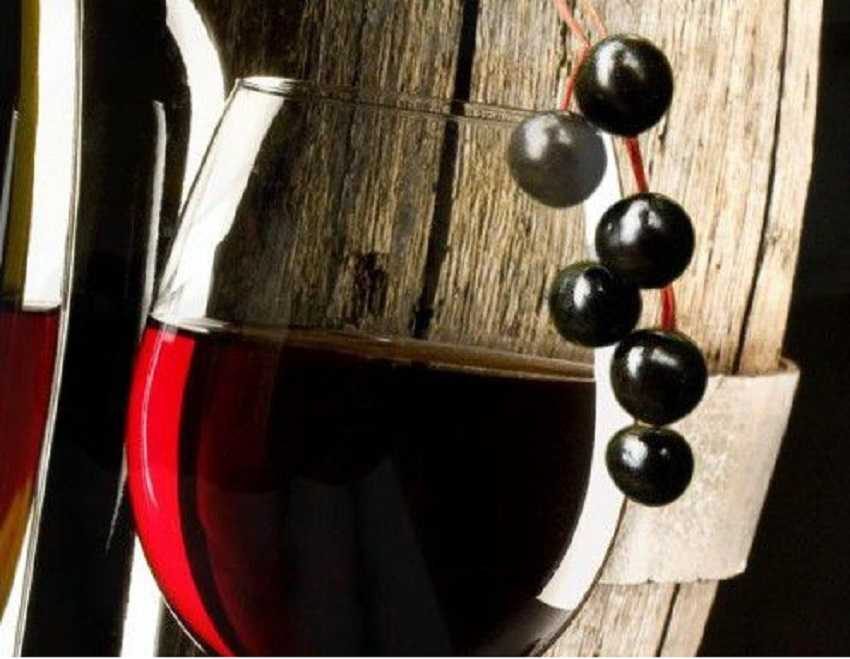 Яблочное вино: простые и вкусные рецепты