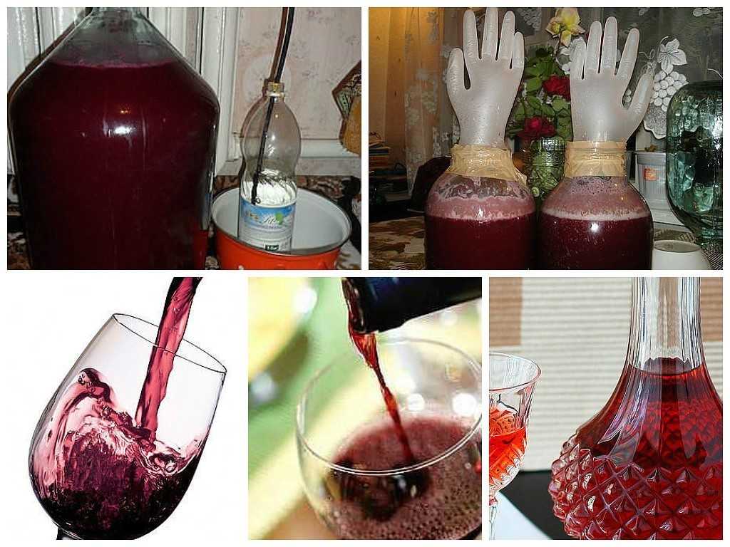 Сухое вино своими руками в домашних условиях: 3 простых рецепта