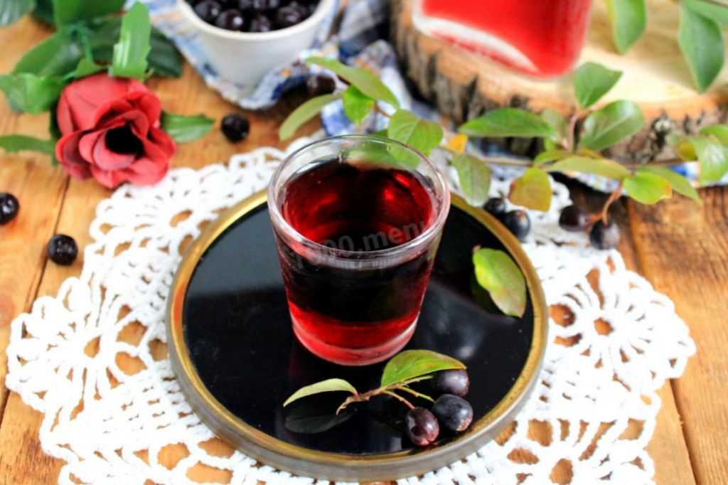 Красная и черная рябина на зиму — 27 домашних вкусных рецептов