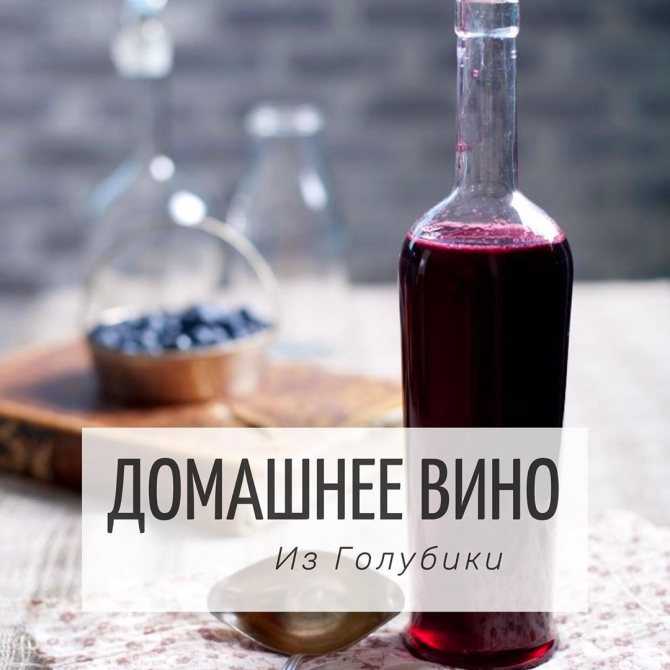 Вино из голубики: простой рецепт приготовления