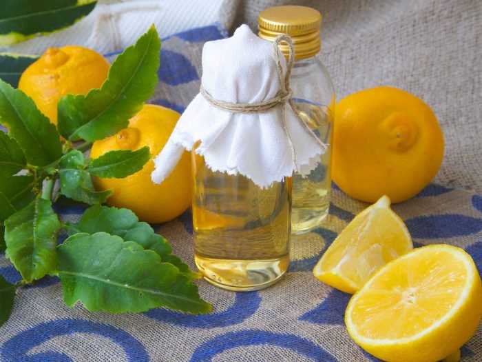 Рецепты домашних настоек самогона на лимоне