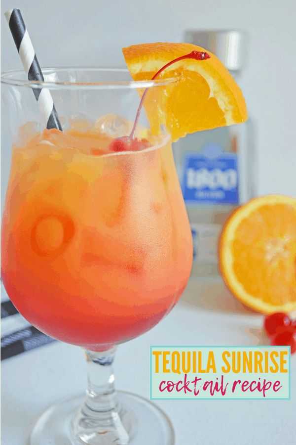 Tequila sunrise cocktail recipes