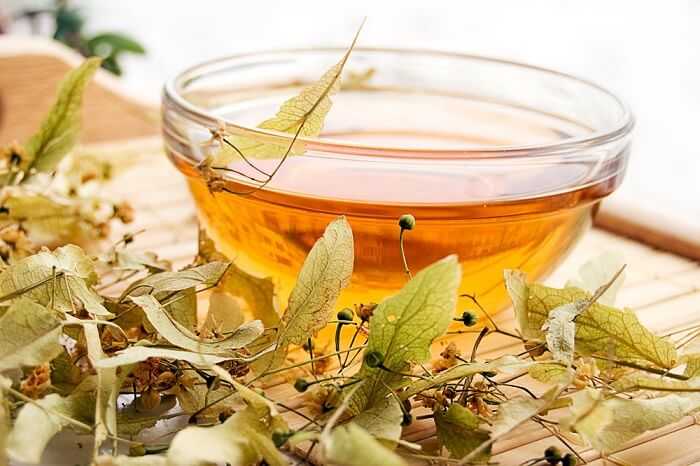 Липовый чай: как правильно собирать цветы и готовить полезный напиток