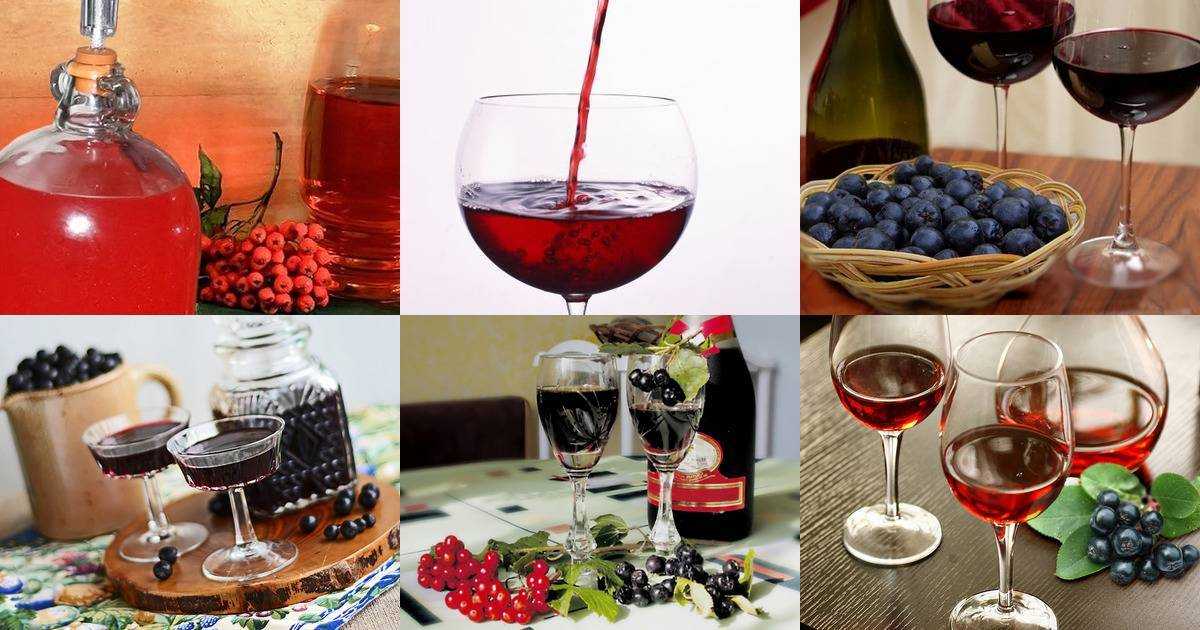 Вкусное вино из черноплодной рябины: простой рецепт приготовления в домашних условиях
