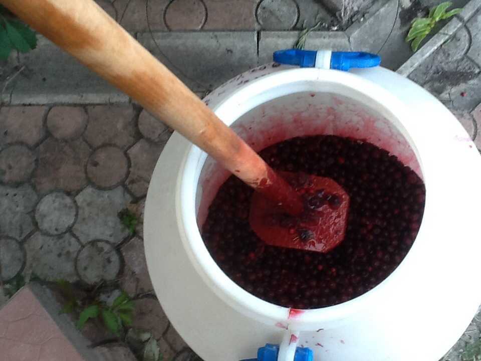 Вино из вишни в домашних условиях: простой рецепт пошагового приготовления