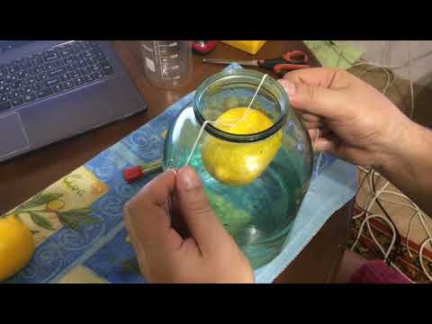 Рецепты приготовления домашней лимонной водки