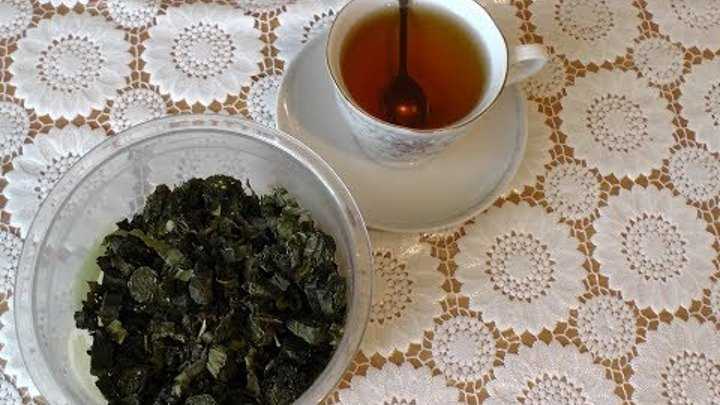 Чай из листьев черной смородины: рецепты заготовки и приготовления