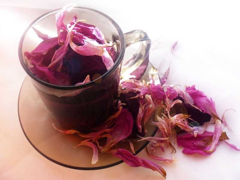 Правила приготовления чая из лепестков розы