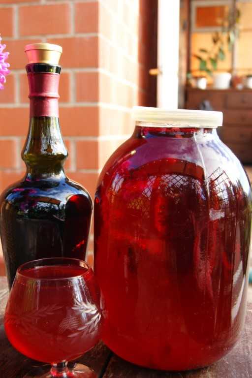 Плодово-ягодные вина. рецепты домашнего вина из плодов и фруктов