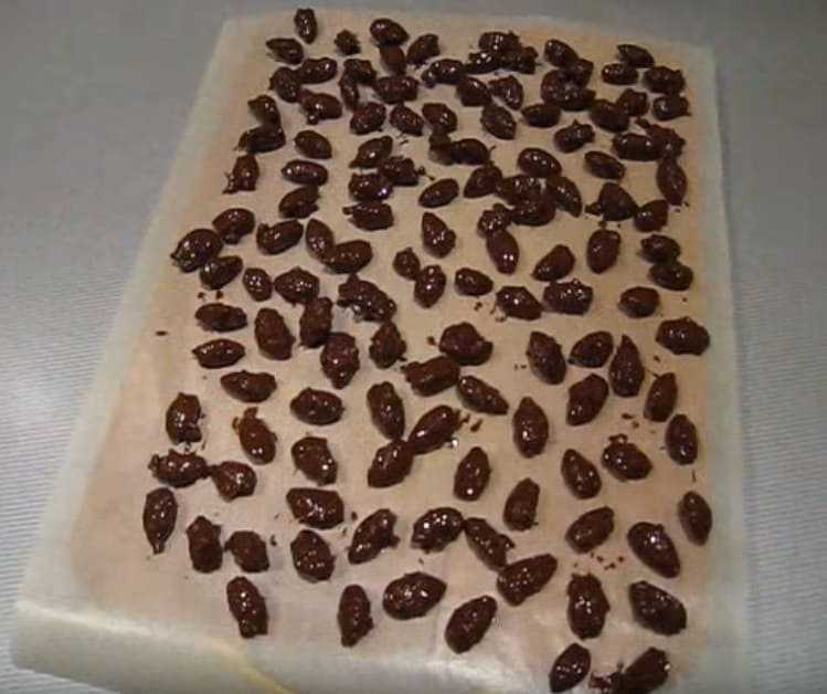 Четкое описание шагов приготовления блюда Орешки в шоколаде -  похожие рецепты, состав, порядок приготовления, комментарии, советы, пошаговые фото