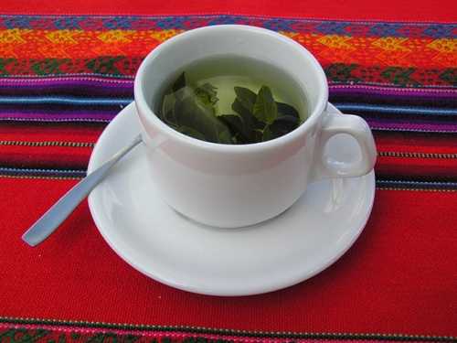 Чай из листьев земляники полезные свойства