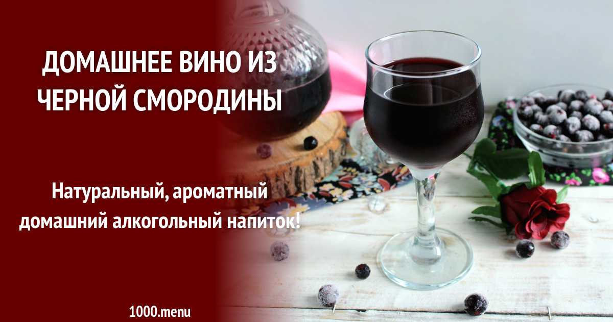 Вино из черной и красной смородины: простой рецепт в домашних условиях