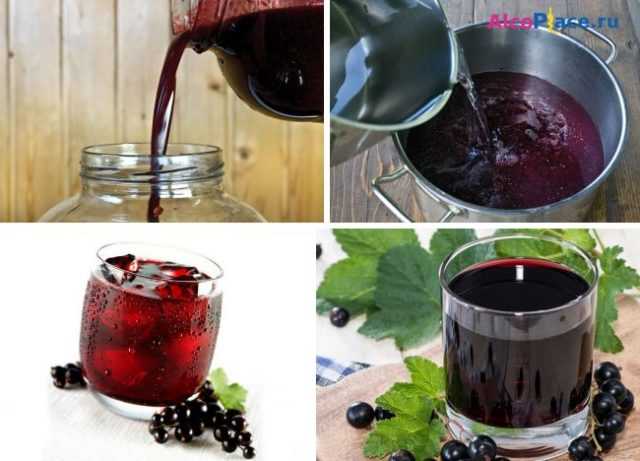 Как сделать вино из ирги: простой рецепт для приготовления дома