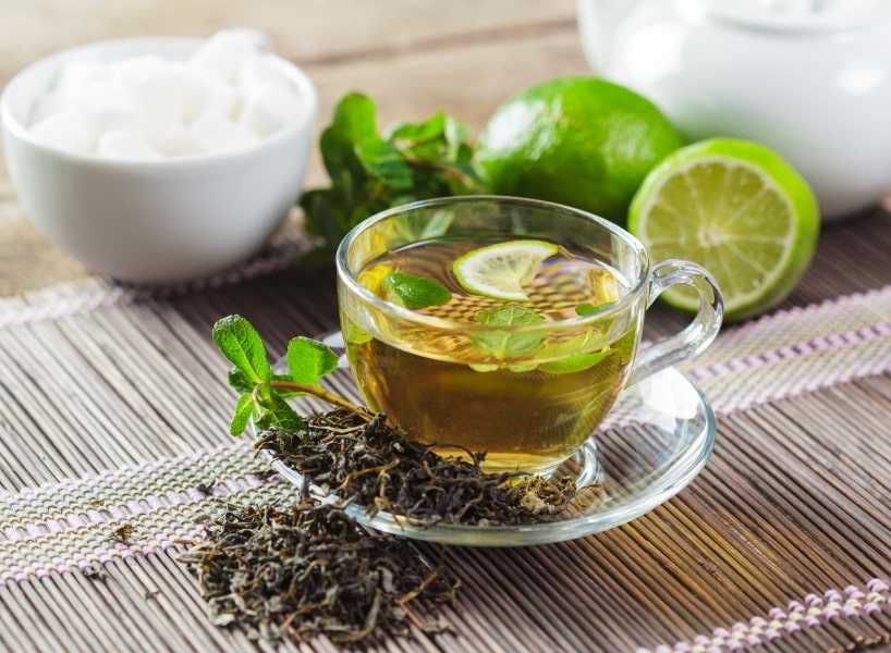 Чай с мелиссой: полезные свойства, как заварить при болезнях