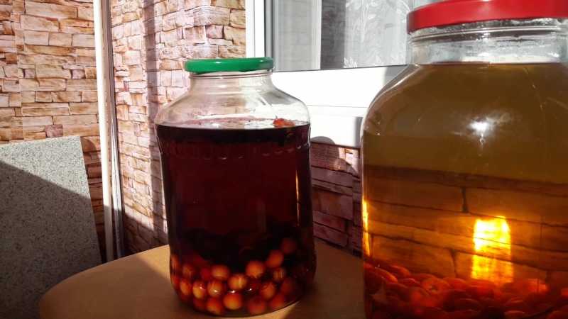Абрикосовая настойка на водке. настойка на абрикосовых косточках ⋆ рецепты домашнего алкоголя
