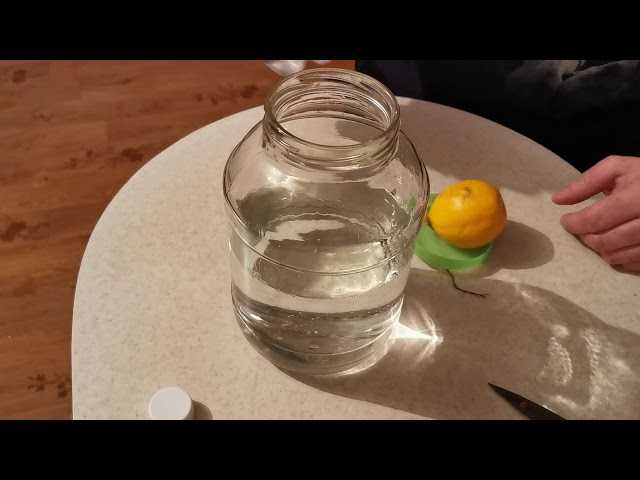 Лимонная водка и настойка на спирту: рецепты приготовления в домашних условиях