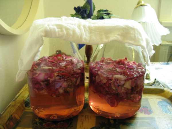 Домашнее вино из лепестков роз пошаговый рецепт быстро и просто от олега михайлова