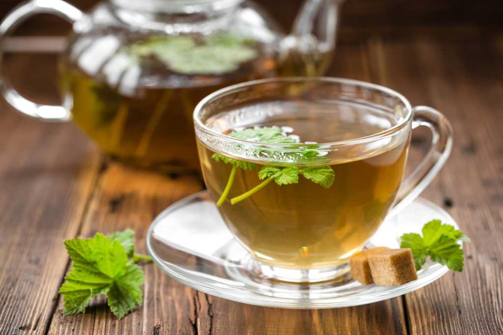 Ферментированный чай из листьев садовых и диких растений в домашних условиях