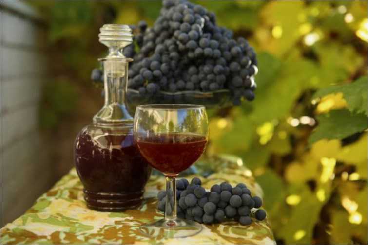 Вино лидия и его особенности