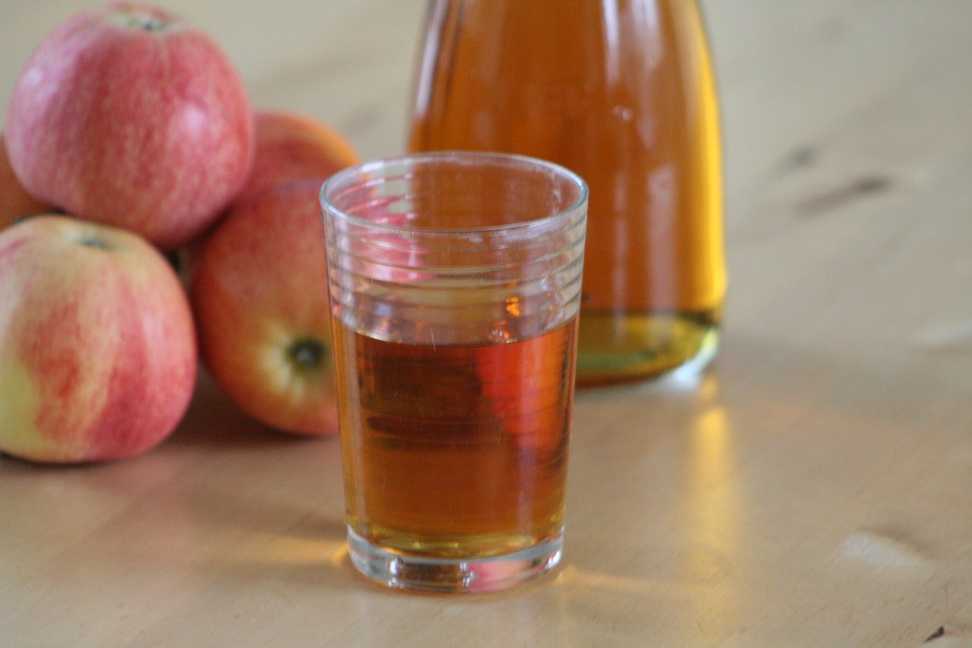 Простой рецепт самогона из яблок: пошаговая инструкция с фото