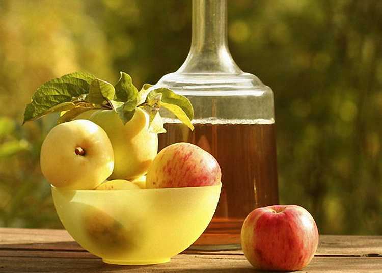 Настойка самогона на яблоках: рецепты со свежими и сушеными фруктами
