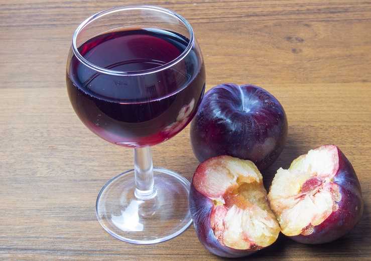 Домашнее вино из сливы простой рецепт