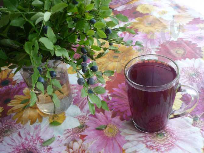 Чай из ежевики — польза и вред, рецепты с ягодами и листьями