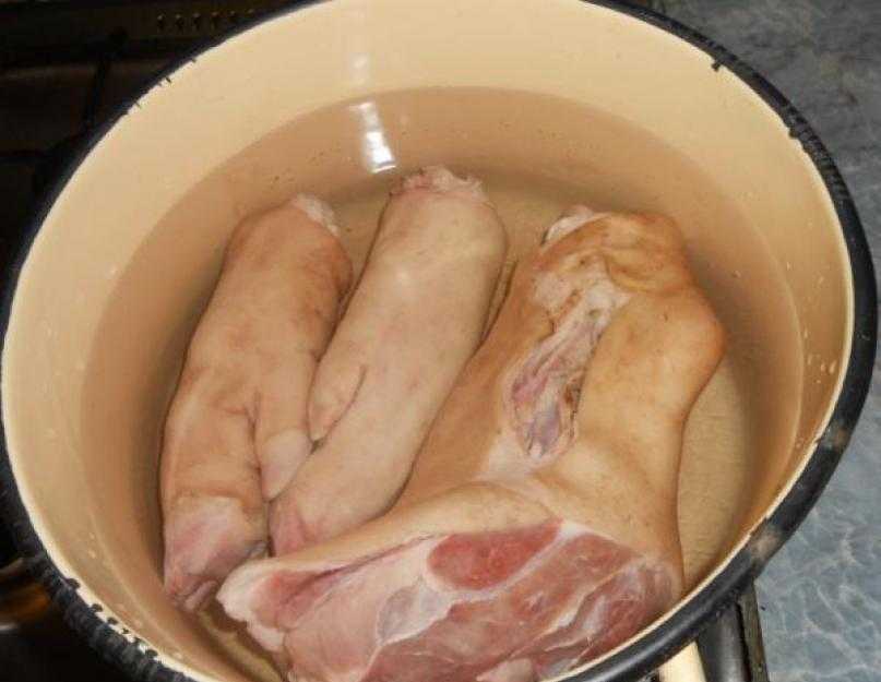 Холодец в мультиварке из свиной рульки и курицы: пошаговый рецепт | готовим в мультиварках