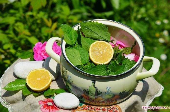 Правила заваривания и употребления чая с мелиссой: рецепты, приготовление, свойства | горячая чашка
