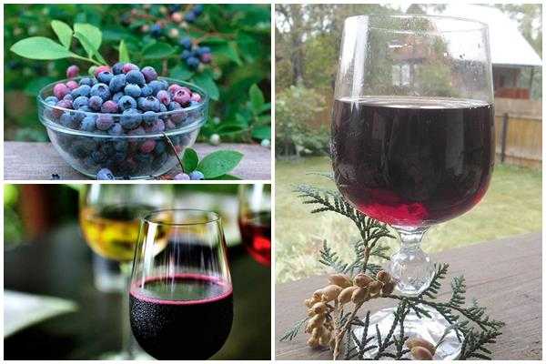 Как сделать вино из ирги: простой рецепт для приготовления дома