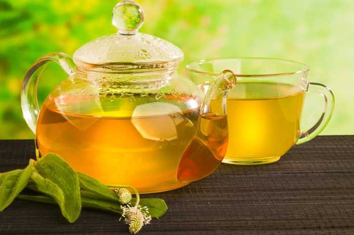Земляничный чай: рецепты со сливками из листьев и ягод
