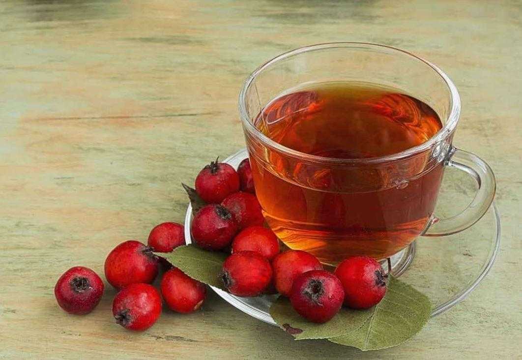 Чай из боярышника – как правильно заваривать и пить боярышник