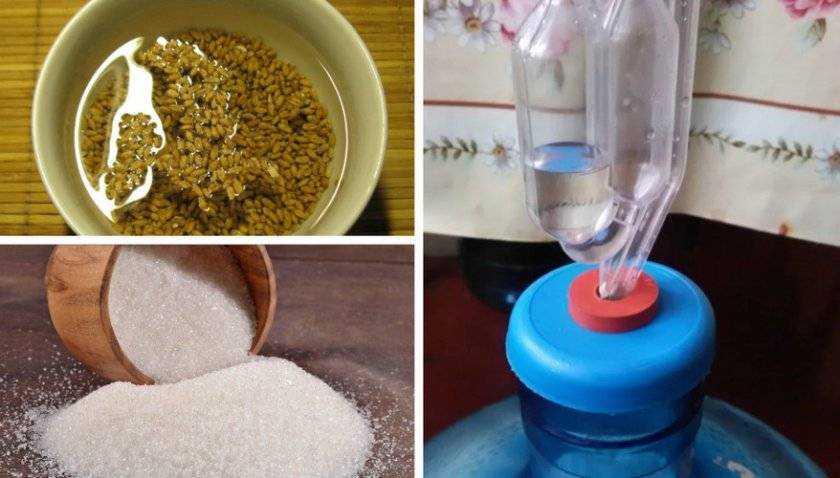 Пшеничной водки в домашних условиях – рецепты приготовления + видео | наливали