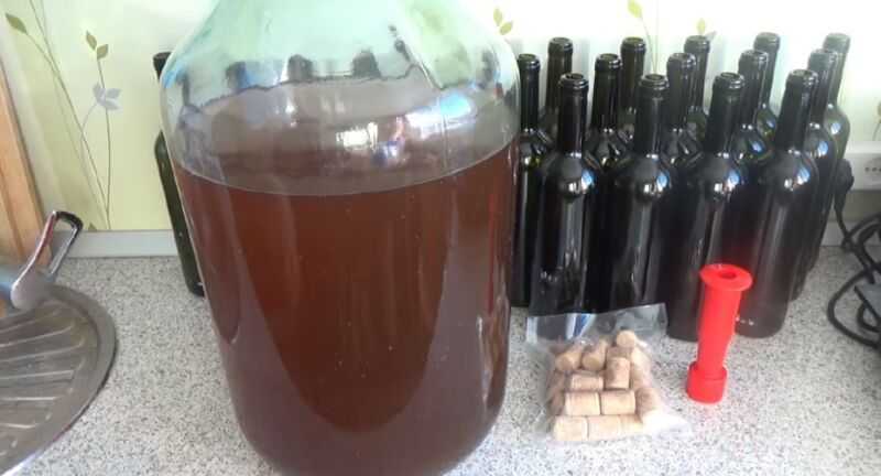 Простой рецепт домашнего вина из винограда сорта изабелла